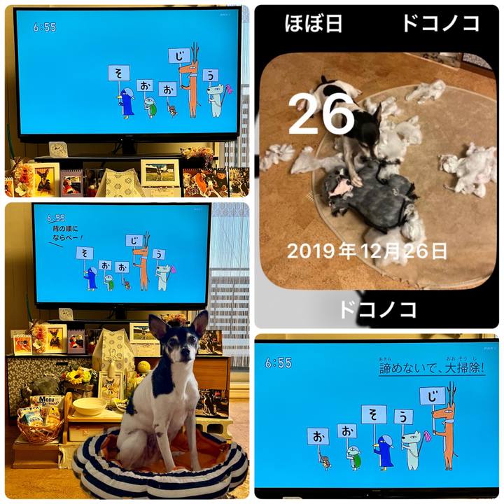 E3523617 72a5 42df 8acd 874b06681c8d 1672178823406