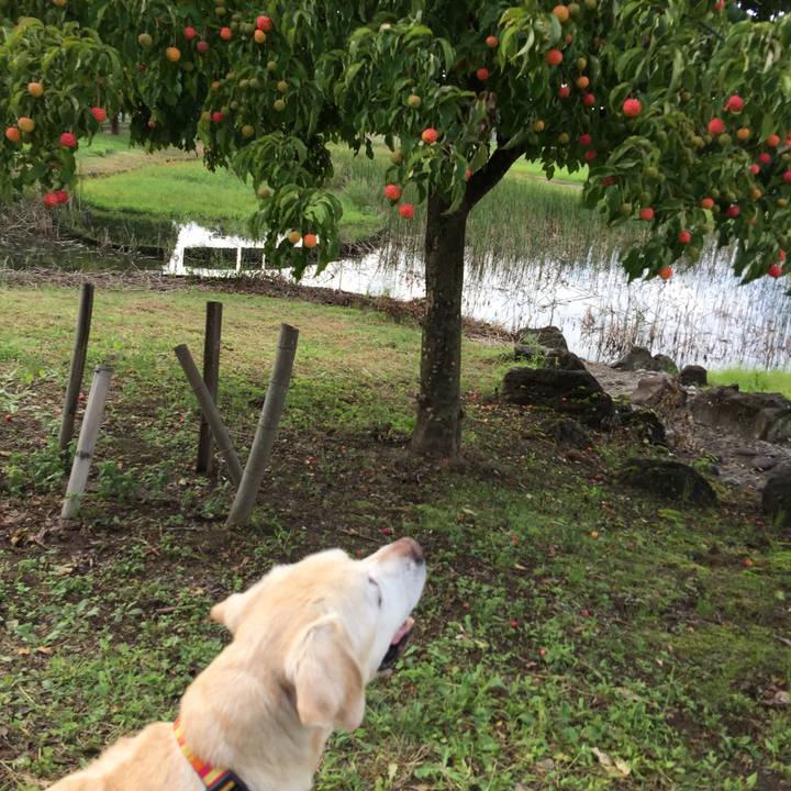 E35249e0 4fa1 4bc3 8af8 8d092fec751a 1537232899429