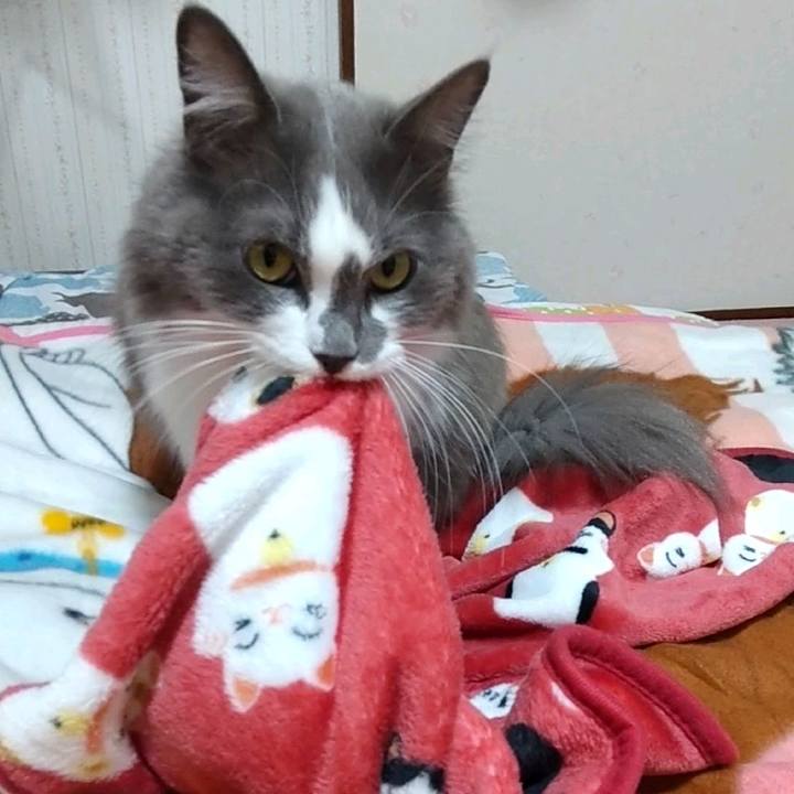 E35296fe eed5 4958 94c7 eb61716aa837 1634986637921