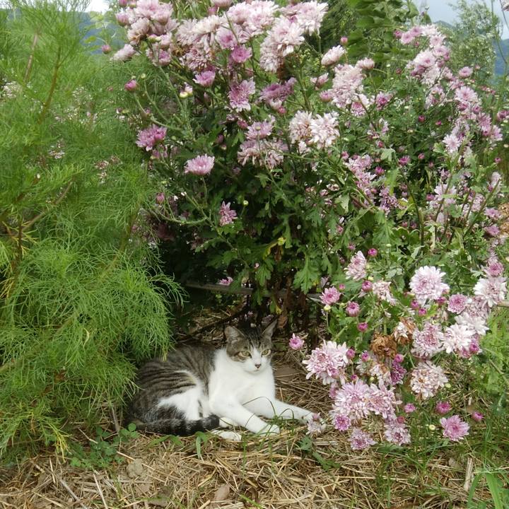 E352b7cc 38ca 40d0 8340 53b63bf542a3 1530708584602