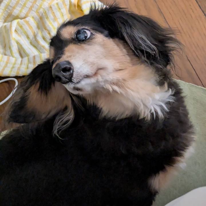 E353251f 4b0d 485f 9167 4607d93bb782 1751051829556