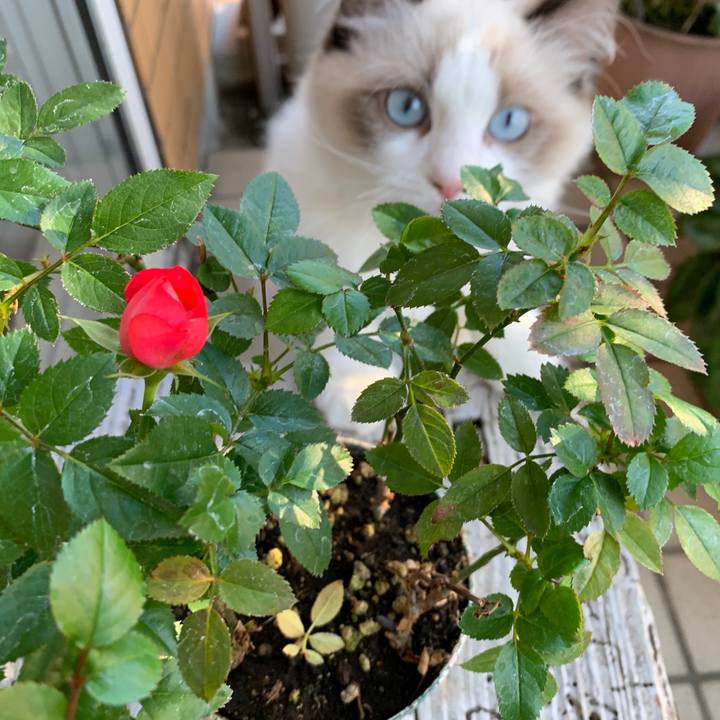 E3535d5c 7f14 4991 a990 b9f4aab961f0 1633467581310