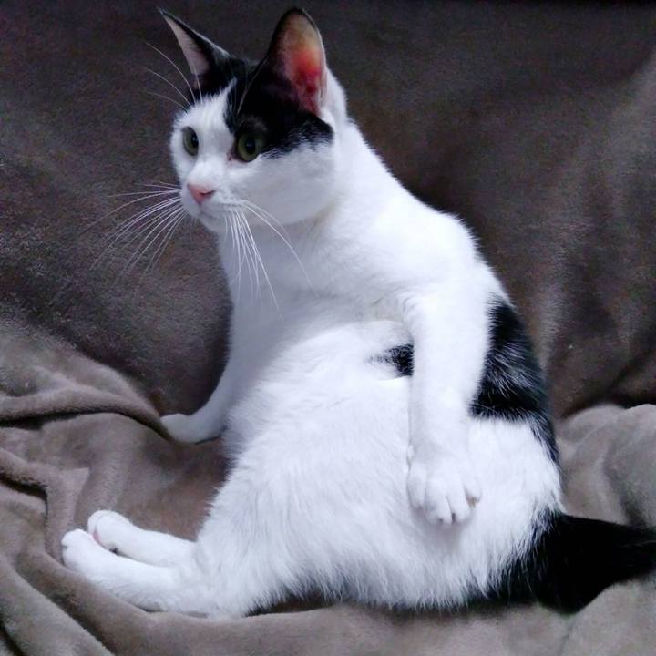 E353f494 fa78 4b7b 96d9 09383d14eab4 1544094482302