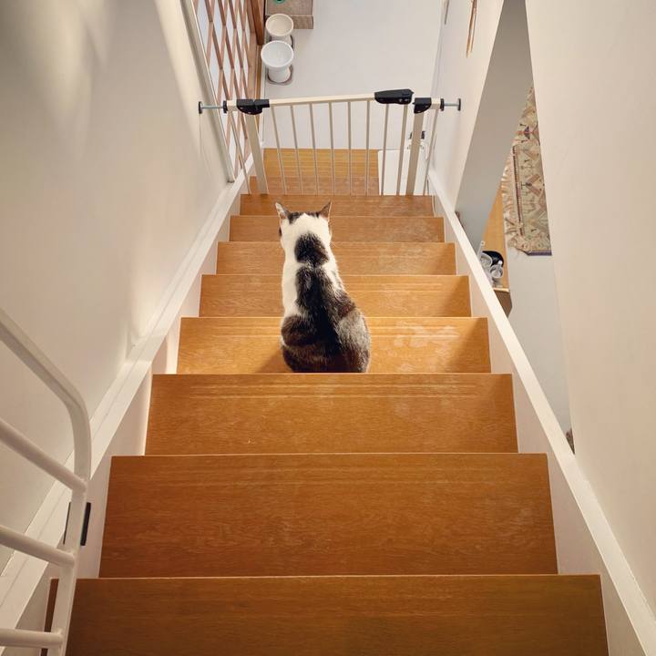 E353fb1d 1bc8 47b7 a108 0977183cca2c 1608247271426