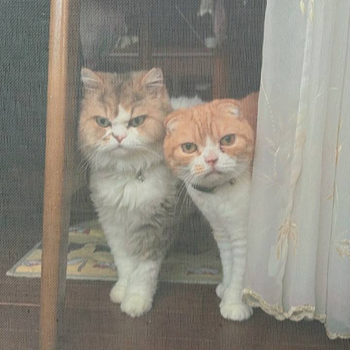 E3542d86 119d 4cc7 9163 d8a3ff8a5012 1757973939264