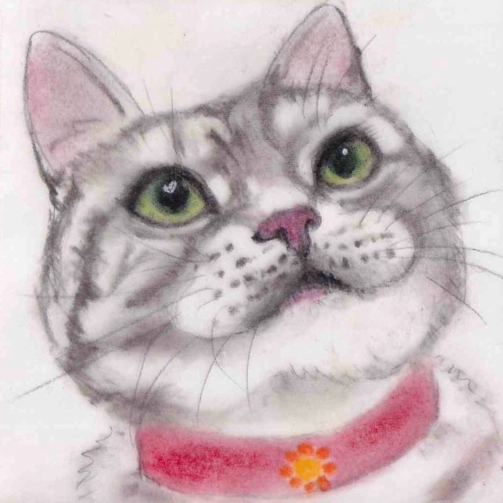 E3543e7d bee4 49e5 a73c 2b6bf7760824 1646836156120