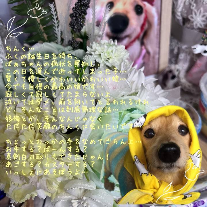 E354519d 277b 4609 8dd5 5b8e52399e7f 1750032193548