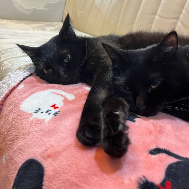 E3546db7 31a0 452b b490 ec872367c01d 1680878982138