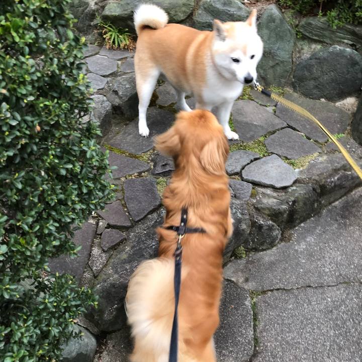 E354a9cf 8f7b 4473 a7f4 239a0d224a09 1522965931973