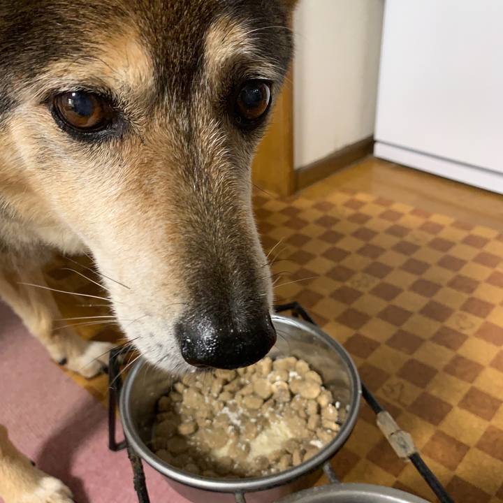 E354de18 6c9c 4435 a122 bfd823d42198 1562029128281