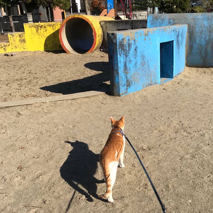 E354e04f d49b 4801 b87e 3918dd080c3c 1511756017329