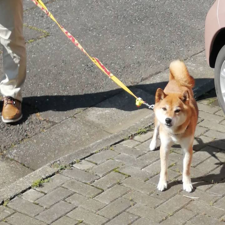 E354e633 cf24 44a9 ae8e e4e23cba9a3c 1592609714346