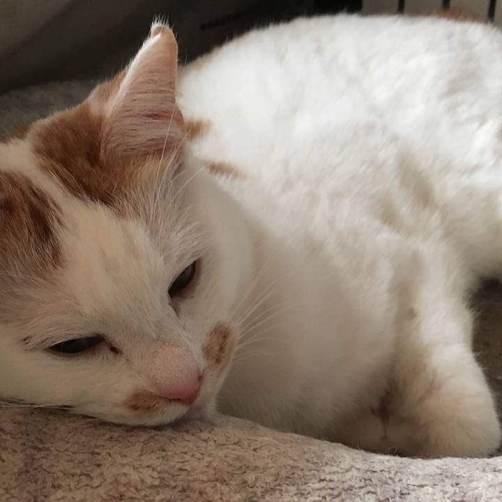 E3552b6a bf18 493f 9d61 35947d428035 1518438163874