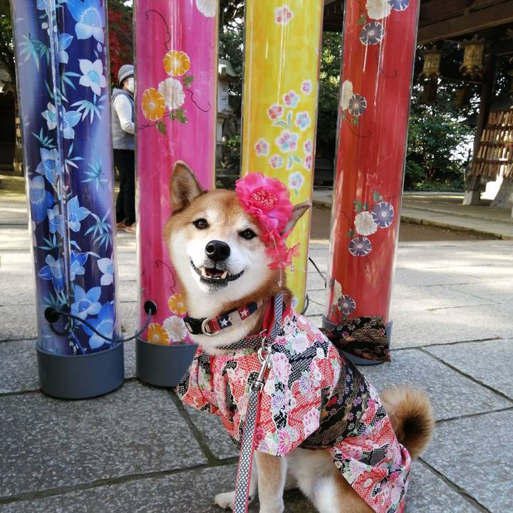 E35565e4 7002 4faf aeea 9f7448d72647 1668095869246