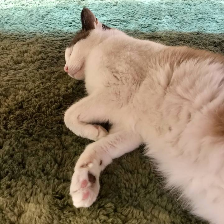 E3559401 2cc0 4917 a627 723aff5dbbe4 1624712170476