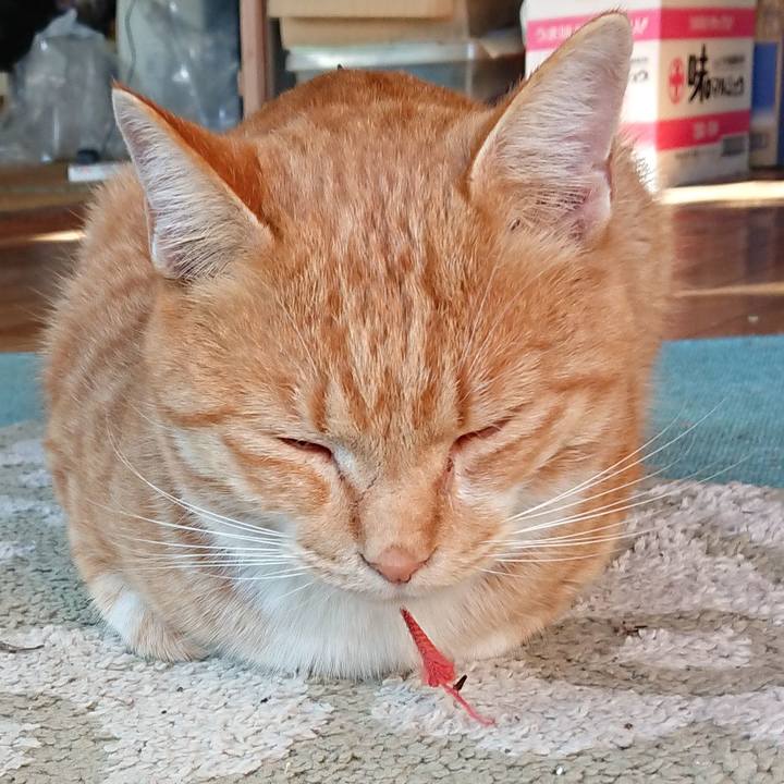 E3559835 ac3d 49f0 808a bbfe8da1a958 1573366598093