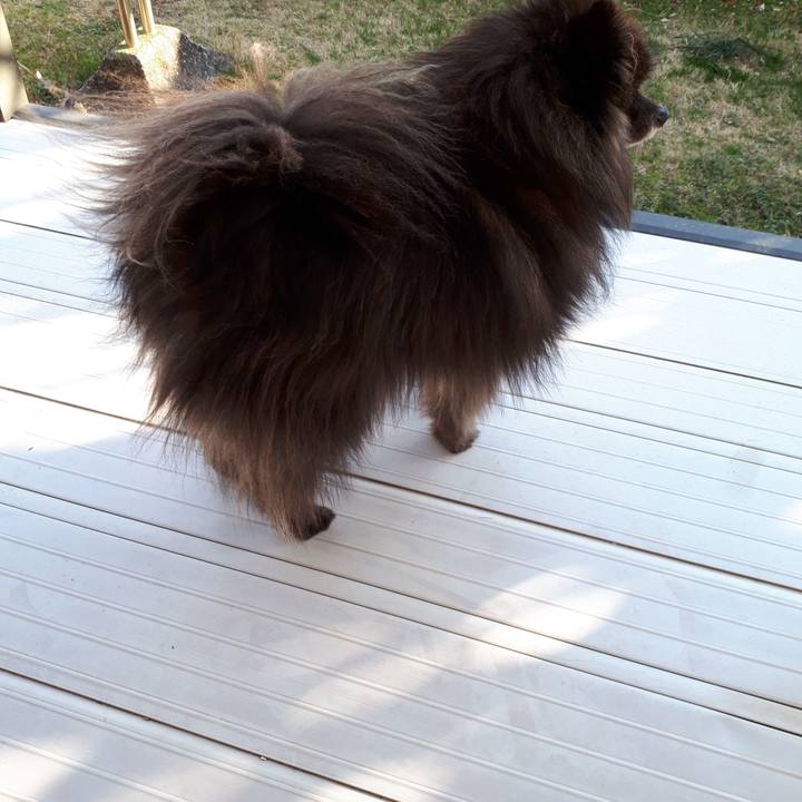 E355ab80 f3e5 4af8 bd49 c60f3ed1f7dd 1516862321316