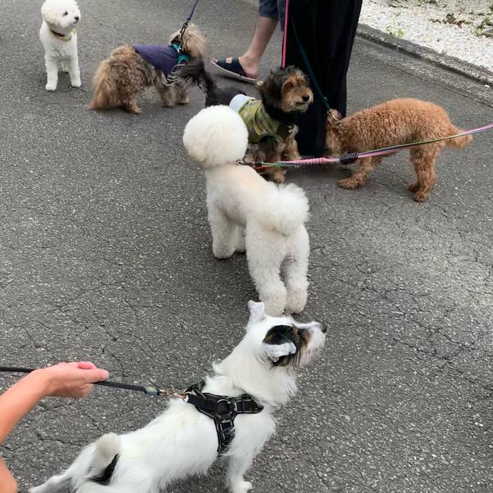 E355aeda 35ee 4b26 a87d 07ad63f22b0a 1655942761546