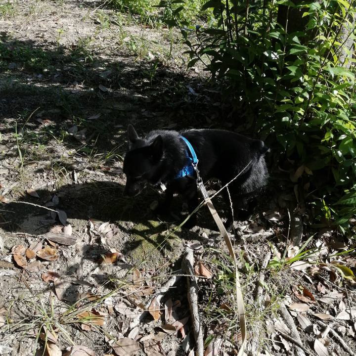 E355b61c e6fe 4b28 8bfb ccedc10ffcbe 1603584359249