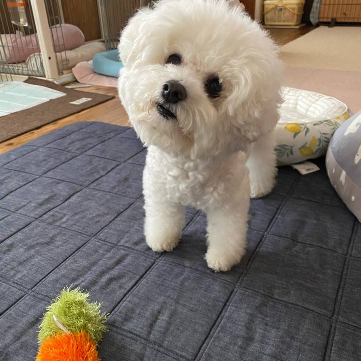 E355d05d b058 4a75 a08b b6a4c7b6083a 1624351965213