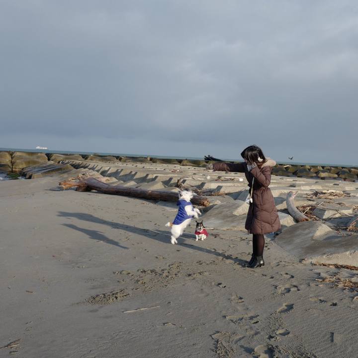 E355e505 06e0 44fc a01e 5dd2d421d194 1577593114835