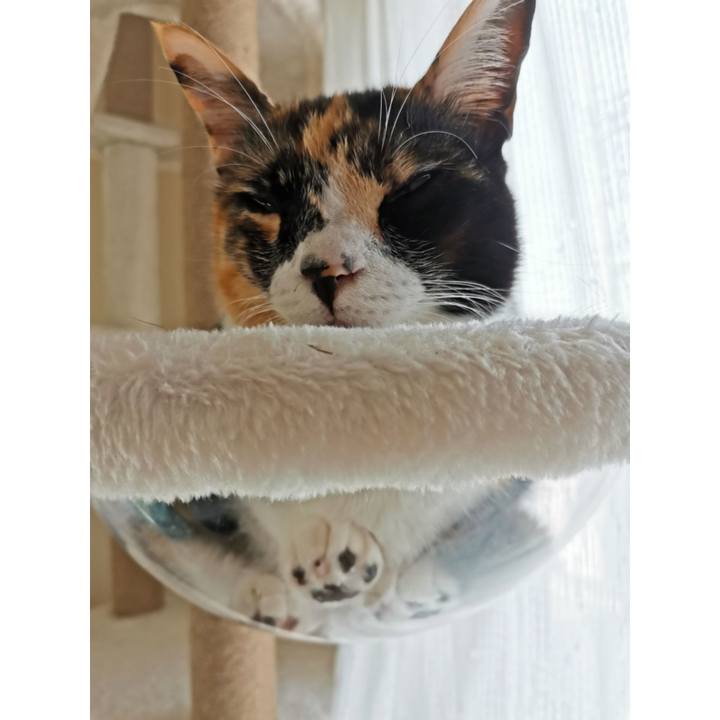 E355ecc9 8901 4a3e 8e5d aaeb98965e03 1634358732619