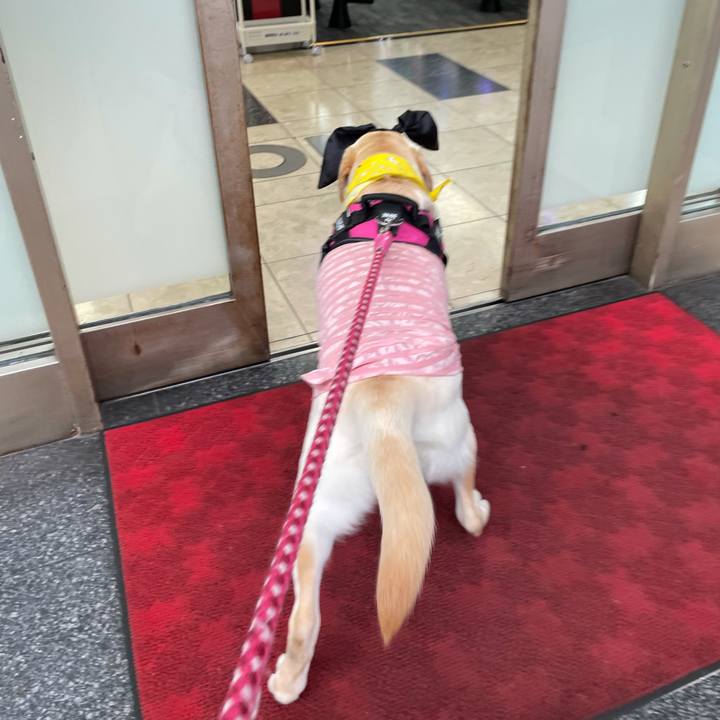 E355f9de 3bac 4661 93f9 f4b980805964 1627732228882