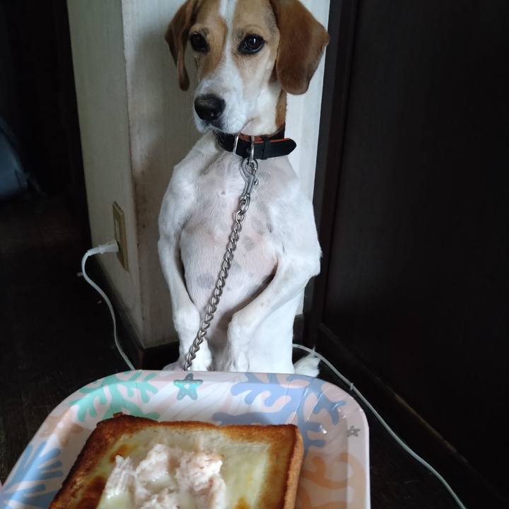 E3562470 d435 4655 a740 40084a926d87 1661320595522