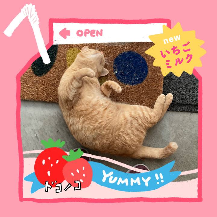 E3568f43 5bd4 4d37 84b3 54788ac60a1f 1711024713985