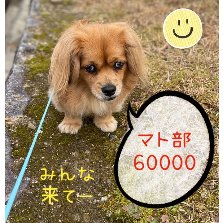 E35696c2 8e14 4d42 a5a4 ba2b794a420b 1578392220572