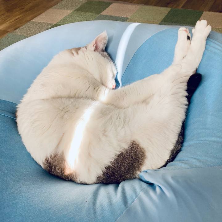 E356ce65 d3d6 4110 bdbc fd16b35be595 1704771398760