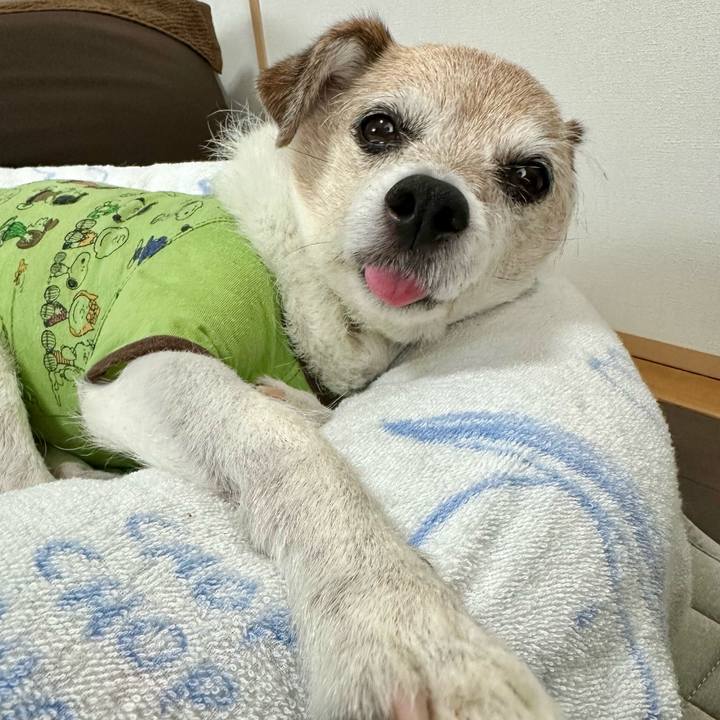 E356e76c 28c0 4707 9549 e42483f8be60 1716168921141