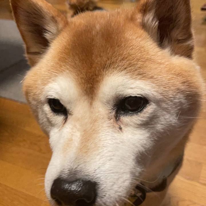 E356f4c8 fcd4 474b b55f f32547ada952 1645523362094