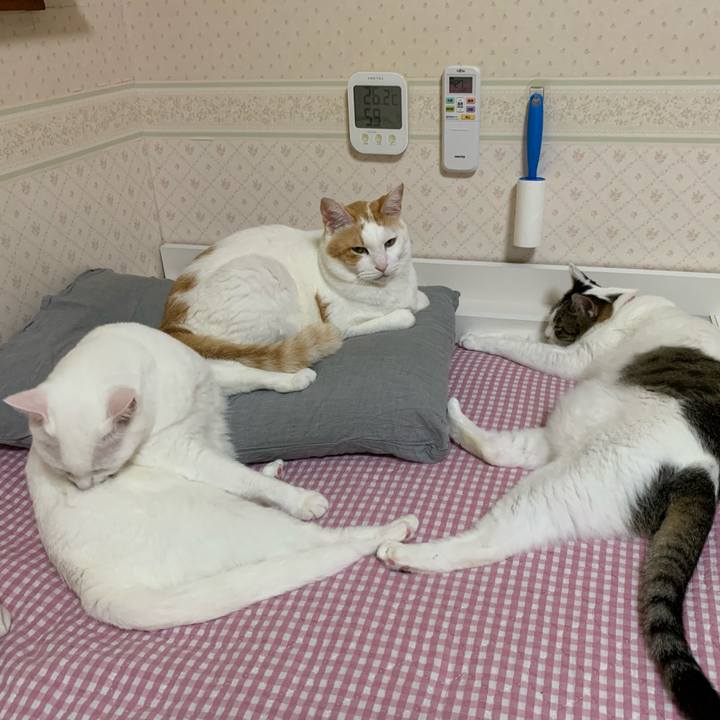 E357134c 5592 4025 8082 ddcb56fbb5f5 1630765487546