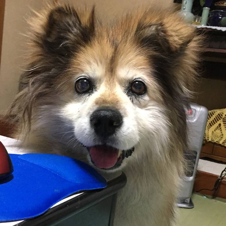 E3572a7c 609e 40b9 a7a9 fd4e5b6f7a71 1547810140052