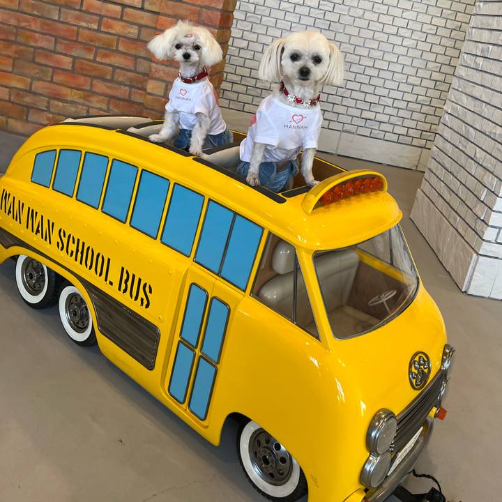 E3573786 4b83 45a4 a997 e77ec342c522 1725760400874