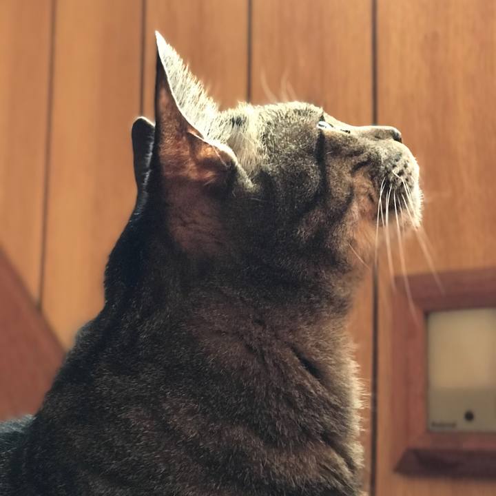 E3574071 ec11 4190 afa1 080eaa80c55e 1528939472192