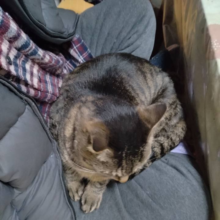 E35777ea 18da 4872 9180 e2790c55692b 1674120744880