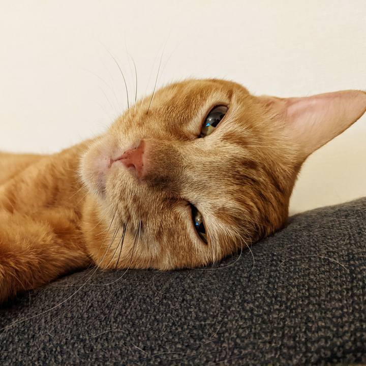 E3577996 c12c 4579 a605 aba1c21682de 1661831072137