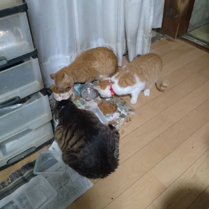 E357e5dd a9c8 47d0 aa0a 97596a01f347 1748339645812