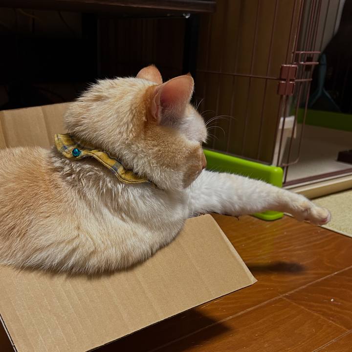 E357f535 a710 495a 949c 0b1326ab6704 1753598116635