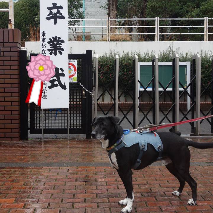 E357ff6f 2a2b 4e09 abda 45b0063e3e60 1709685560339