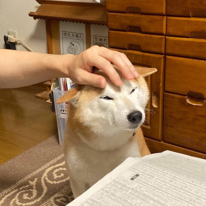 E3584cd7 1660 4738 ac42 8d61f64bbc89 1722424015828