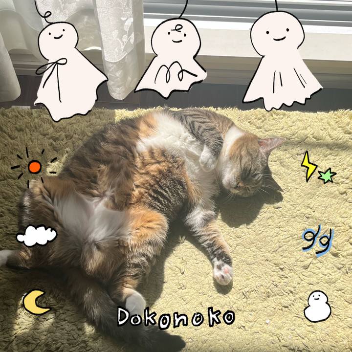 E358b0e9 8d7d 4753 b179 af5048b2df7e 1749653396315