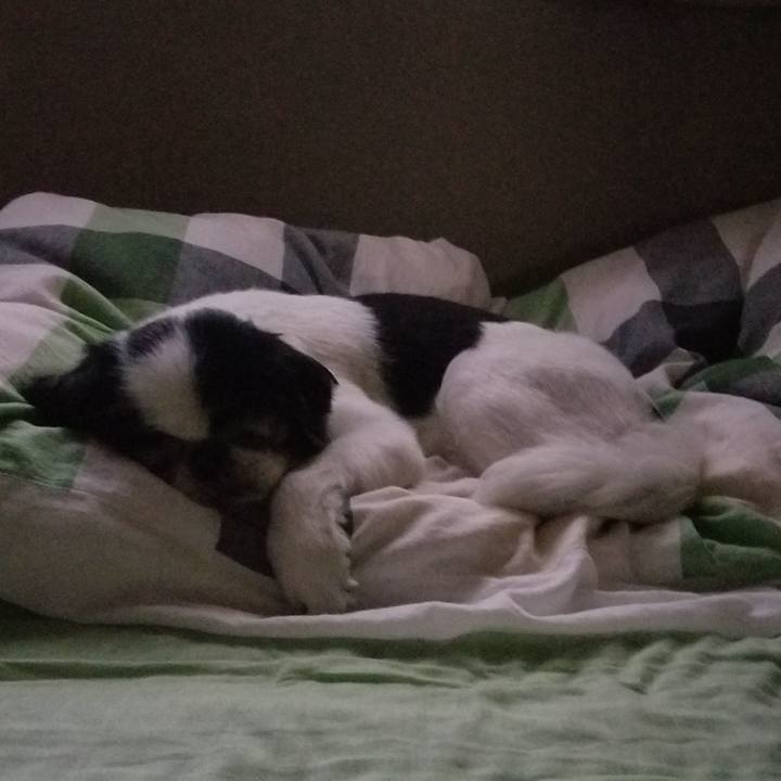 E358b9cb 0e26 44a7 8ab7 8350e98c3beb 1570863706804