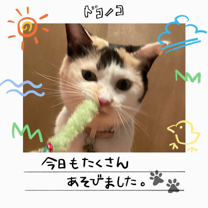 E358fd7b 1bfa 4085 9c37 211ba64f9c14 1755394311698