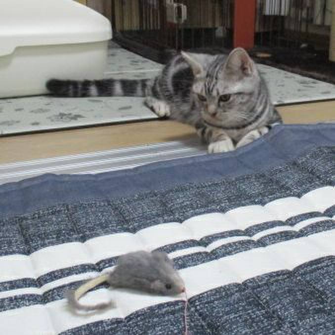 E35956a4 a47e 42ed aea5 caa38d6a5bcf 1537708756794