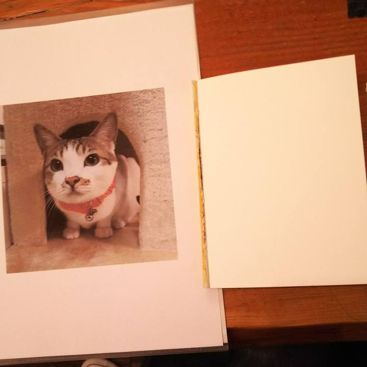 E3597678 5c4e 45cc bcab a7f03747d238 1534819420981