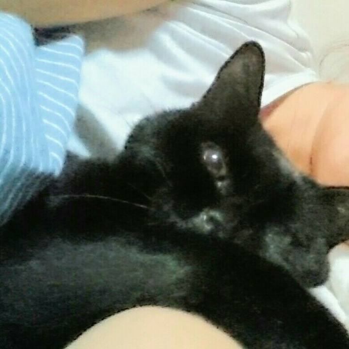 E3597735 a9ce 46f0 b46c 4f3143889259 1570063858523