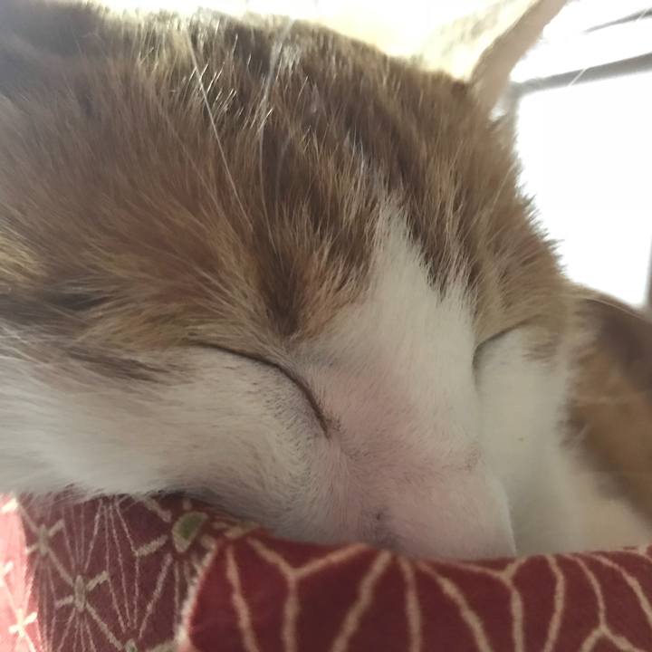 E35983c5 1345 4f32 ac42 53d8ccac48dd 1511607534410